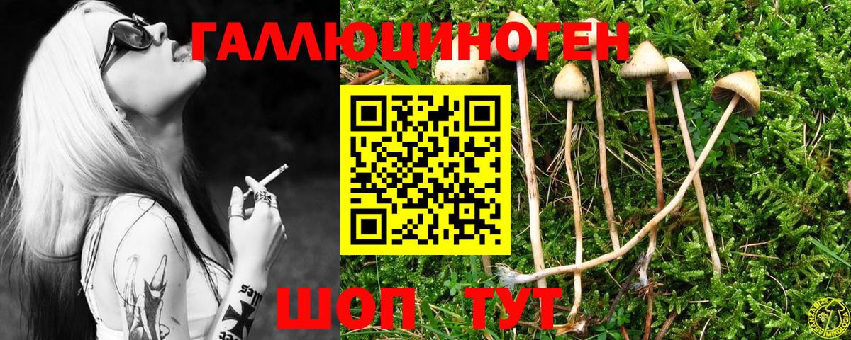 Зеленодольск  как найти наркотики  Вход с VPN  Галлюциногенные грибы прущие грибы 